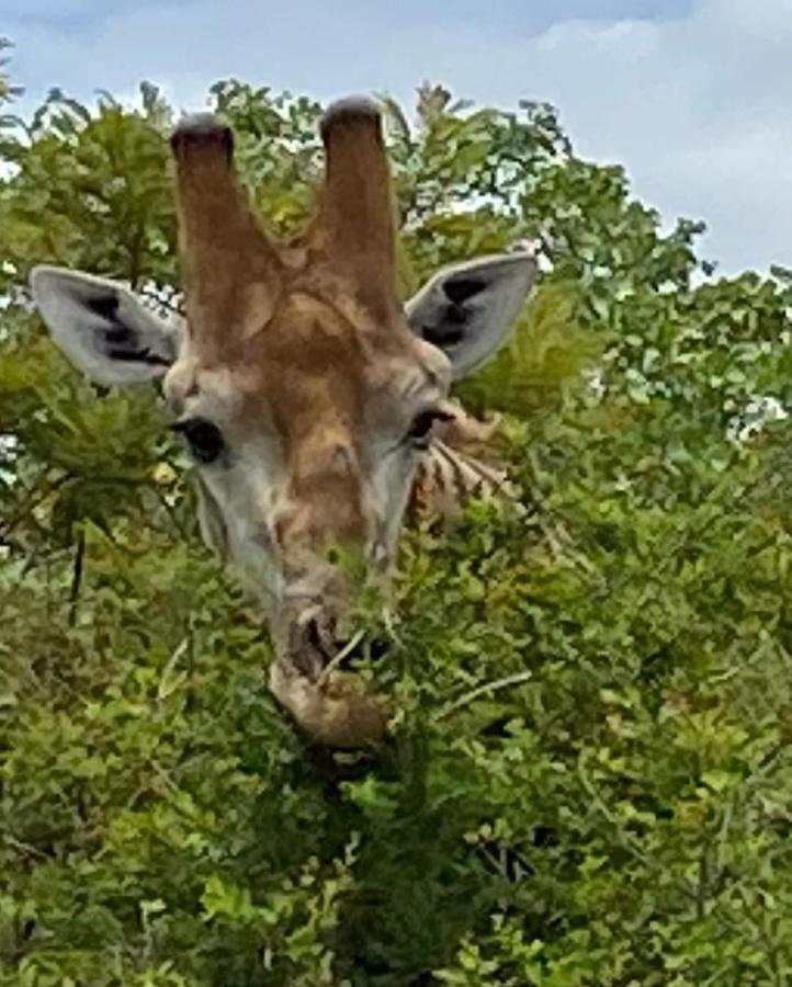 Overnight Stop Before Kruger National Park Phalaborwa Exterior foto