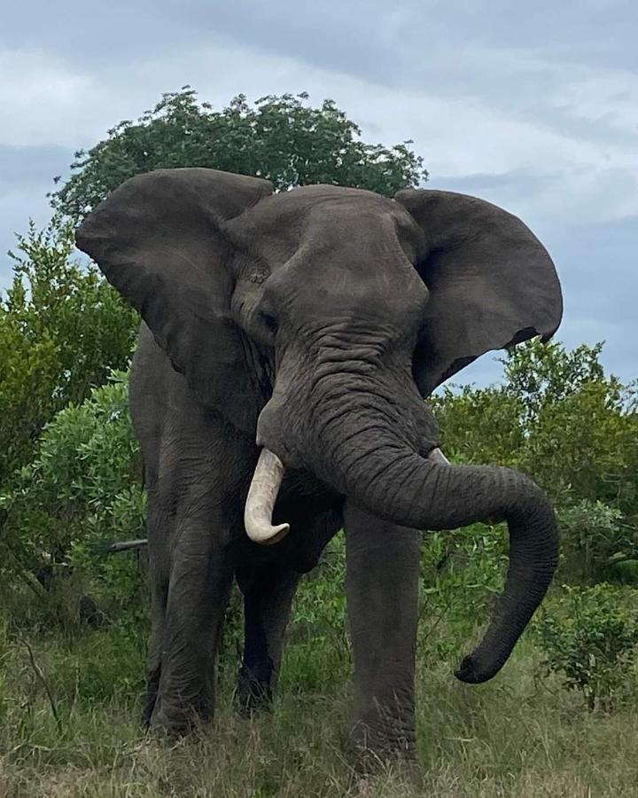Overnight Stop Before Kruger National Park Phalaborwa Exterior foto